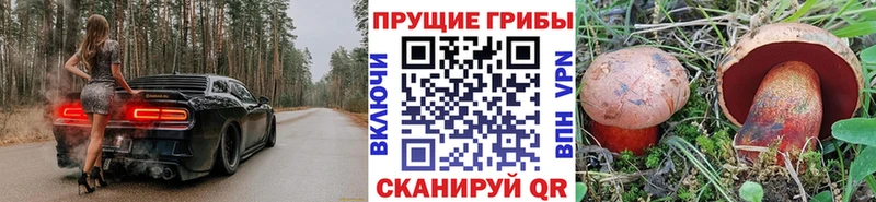 магазин продажи наркотиков  Мантурово  Галлюциногенные грибы Magic Shrooms 